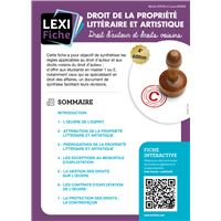 Droit de la propriété littéraire et artistique