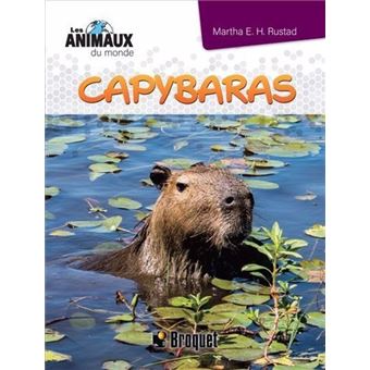 Capybaras - 1