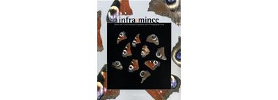 Infra-mince, n°2