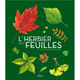 L'herbier des feuilles - 1