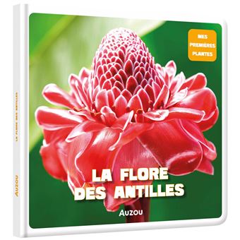 La flore des Antilles - 1