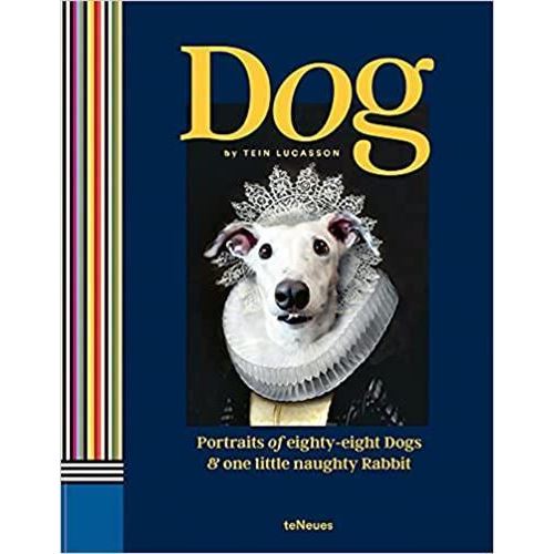 Dog /anglais - Tein Lucasson - relié