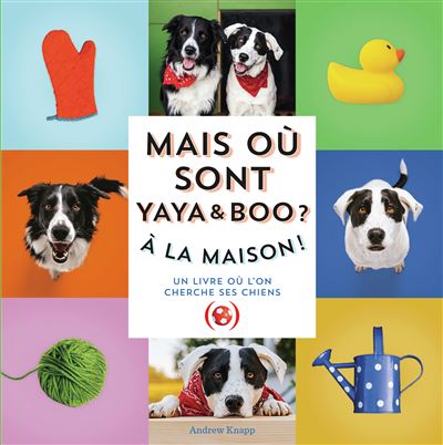 Mais où sont Yaya et Boo ?