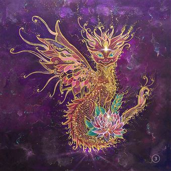 Oracle des Dragons Guides