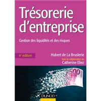 Trésorerie d'entreprise - 4e éd. - Gestion des liquidités et des risques