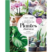Petit Larousse des plantes d'intérieur - NP