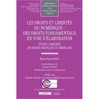 Les droits et libertés du numérique : des droits fondamentaux en voie d'élaboration - 1