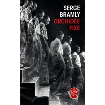 Orchidée fixe - 1