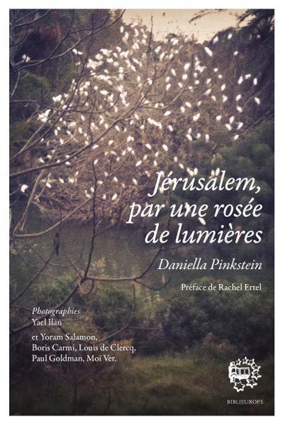 Jérusalem, par une rosée de lumières - Daniella Pinkstein - Biblieurope - broché - Essai