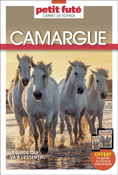 Guide Camargue 2024 Carnet Petit Futé