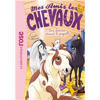 Livres Mes Amis Les Chevaux Fnac