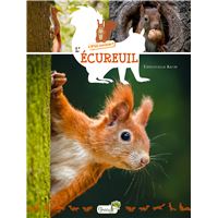 L'écureuil