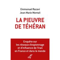 La pieuvre de Téhéran