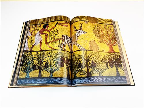 Egypte-Ancienne-L-Ame-du-Nil.jpg