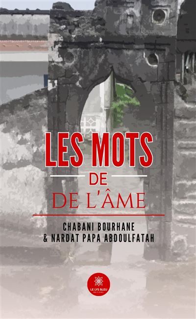 Les mots de l'âme - Bourhane Chabani - Le Lys Bleu - broché - Poésie