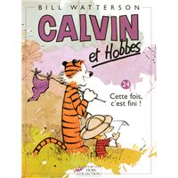 Cette fois, c'est fini