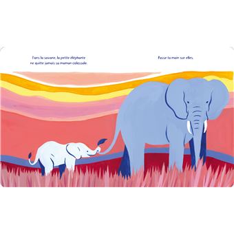 Bébés animaux
