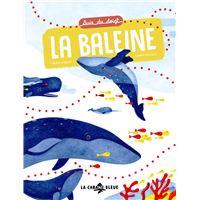 Suis du doigt la baleine