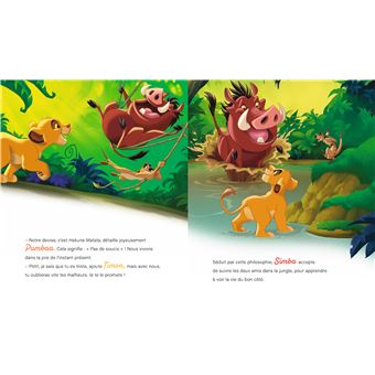 LE ROI LION - DISNEY - Conte classique, Livre pour enfants EUR 2,00 -  PicClick FR