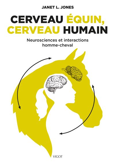 Cerveau équin, cerveau humain