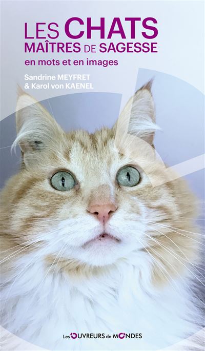 Les chats maîtres de sagesse en mots et en images - Sandrine Meyfret - broché