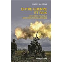 Entre guerre et paix - Histoire et politique des conflits dans le monde