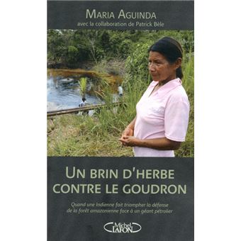 Un brin d'herbe contre le goudron. Quand une indienne fait triompher la défense de la forêt amazonie - 1