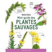 Mini-guide des plantes sauvages - NP