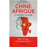 Chine Afrique, le grand pillage
