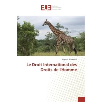 Le Droit International des Droits de l'Homme - 1