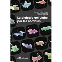La biologie cellulaire par les nombres
