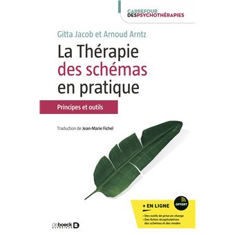 La thérapie des schémas en pratique
