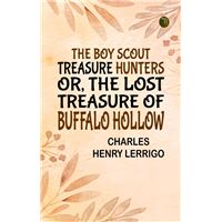 The Boy Scout Treasure Hunters Or, The Lost Treasure of Buffalo Hollow