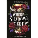 Where Shadows Meet