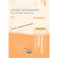 Ateliers professionnels T1 - Enoncé