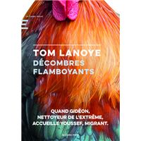 Décombres Flamboyants