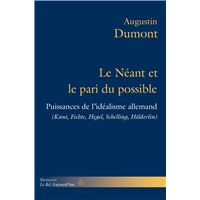 Le Néant et le pari du possible