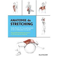 Anatomie du stretching