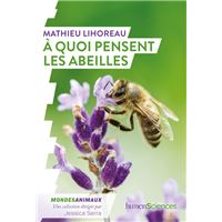 À quoi pensent les abeilles ?