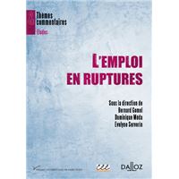 L'emploi en ruptures
