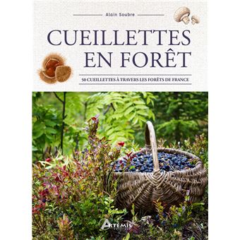 Cueillettes en forêt