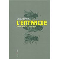 L' Entraide