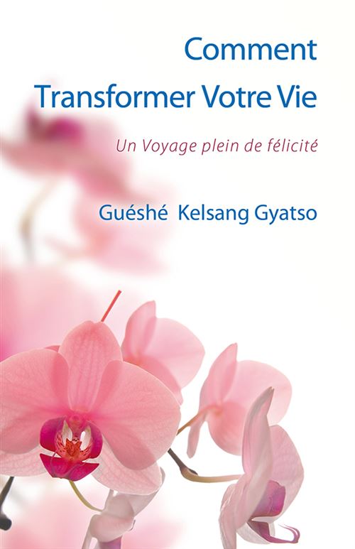 Comment transformer votre vie - Guéshé Kelsang Gyatso - broché