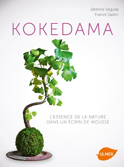 Kokedama. L'essence de la nature dans un ecrin de