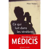 Ce qui luit dans les ténèbres - Prix spécial du jury Médicis 2025