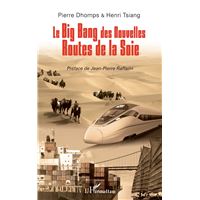 Le big bang des nouvelles routes de la soie