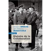 Histoire de la collaboration