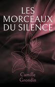 Les morceaux du silence