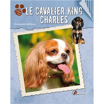 Le cavalier king charles - 1