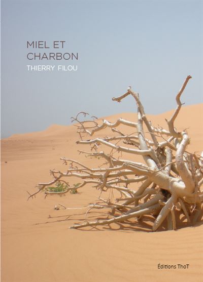 Miel et charbon - Thierry Filou - broché